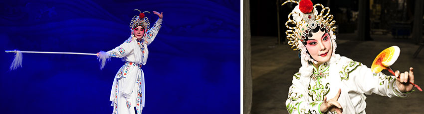 The legend of the White Snake